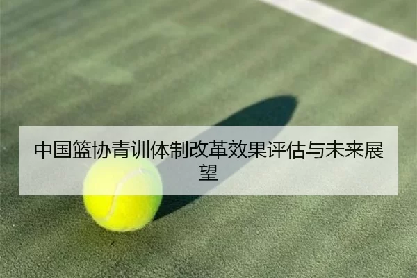 中国篮协青训体制改革效果评估与未来展望
